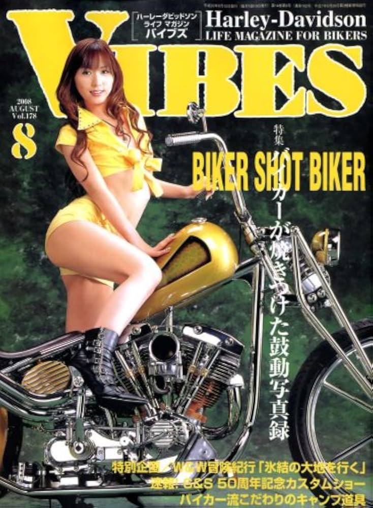 雑誌 VIBES (バイブス) 2008年 08月号 [雑誌] |本 | 通販 | Amazon